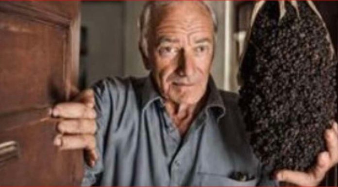 Kada posipate papar ispred svojih vrata, biti ćete mi zauvijek zahvalni!