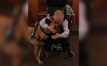 EVO KAKO DA OČISTITE RADIJATORE ZA MINUTU: Bolju foru niste vidjeli, kako se niko ranije nije sjetio ovoga?!