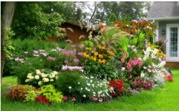 Otkrivamo vam 7 cvetova koje treba redovno odstranjivati i 5 koje nikako ne treba dirati