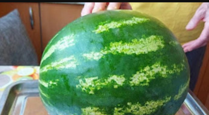 Uzgajivač otkrio kako odabrati najbolju lubenicu: Zaboravite na lupkanje, ovo je pravi način