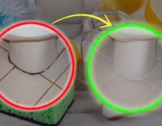 KAMENAC I PRLJAVŠTINA U PUKOTINAMA BUKVALNO SU NESTALI PRED NAŠIM OČIMA: Kućni trik kojim sam očistila kupatilo staro 20 godina u TOP stanju!