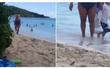 Snimak sa plaže koji ljudi gledaju po 10 puta zaredom: “Možete da kažete šta hoćete, ali ja joj skidam kapu”
