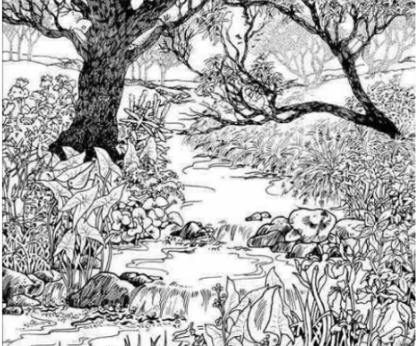 Mnogi su probali, ali nisu uspeli: Svako ko pronađe ženu na fotografiji ima natprosečnu inteligenciju