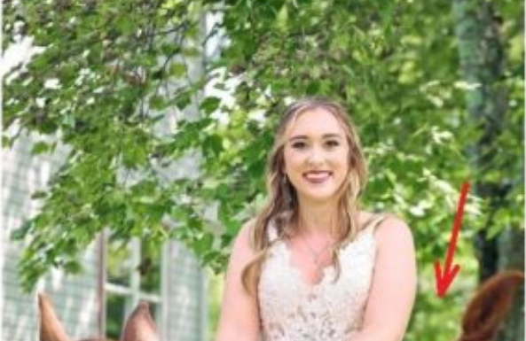 OVA SLIKA JE NAJVEĆI HIT, LJUDI PLAČU OD SMIJEHA: Kad vidite donji dio slike NEĆE VAM BITI DOBRO