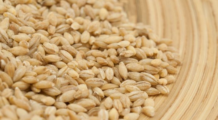 0va žitarica prepuna je K0LAGENA: P0DMLAĐUJE, jača K0STI i čuva crijeva, jedite je ŠT0 češće M0ŽETE