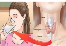 OSVJEŽAVAJUĆI NAPITAK ZA PODRŠKU ŠTITNJAČI: JEDNOSTAVAN RECEPT ZA POBOLJŠANJE ZDRAVLJA VAŠEG ORGANIZMA