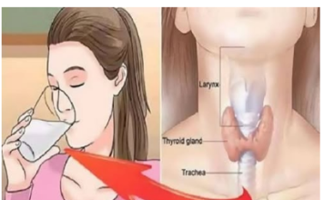 OSVJEŽAVAJUĆI NAPITAK ZA PODRŠKU ŠTITNJAČI: JEDNOSTAVAN RECEPT ZA POBOLJŠANJE ZDRAVLJA VAŠEG ORGANIZMA