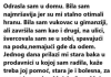 ODRASLA SAM U DOMU. BILA SAM NAJMRŠAVIJA JER SU MI STALNO OTIMALI HRANU. BILA SAM…