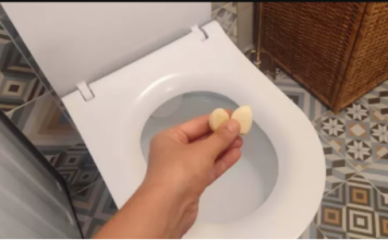 PRIJE spavanja bacim bijeli luk u toalet i štedim iz kućnog budžeta: Gotovo NIKO ne zna za to!