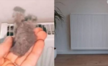 EVO KAKO DA OČISTITE RADIJATORE ZA MINUTU: Bolju foru niste vidjeli, kako se niko ranije nije sjetio ovoga?!