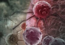 Dvije namirnice ubrzavaju starenje i podstiču rak: Izbjegavajte ih nakon 40. godine