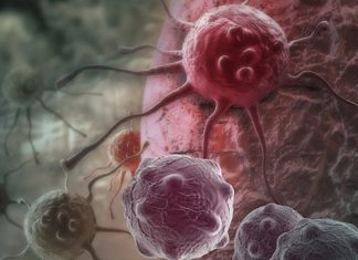 Dvije namirnice ubrzavaju starenje i podstiču rak: Izbjegavajte ih nakon 40. godine