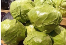 Trik za kiseli kupus: Brže se ukiseli, ne buđa i ima puniji ukus, sve zbog 1 neočekivanog sastojka