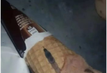 Moja ćerka je otvorila sladoled i unutra je našla nešto čudno — nismo odmah shvatili šta je to bilo…