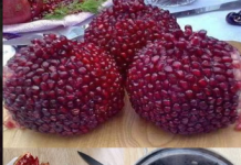 Prokuhajte koru nara i zahvalit ćete mi na ovoj tajni (bolje nego samo voće)!