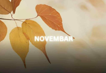 Novembar će biti izuzetno težak za ova 3 znaka horoskopa: AKO STE VI NA SPISKU, SPREMITE SE