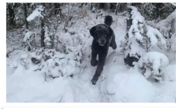 ŠTA STE PRVO VIDELI??? Precizan test ličnosti razotkriće vas za sekund: Sve što ste vešto krili izlazi na videlo