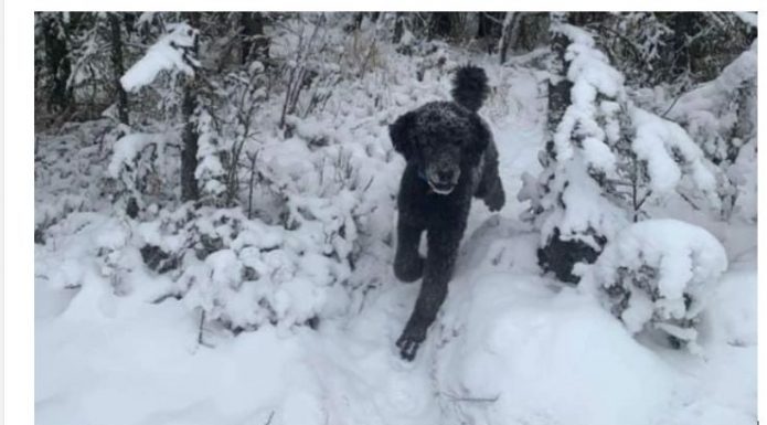 ŠTA STE PRVO VIDELI??? Precizan test ličnosti razotkriće vas za sekund: Sve što ste vešto krili izlazi na videlo