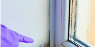 Stručnjak otkrio trik: Evo kako da vaši prozori ove zime ostanu suhi, bez vlage i plijesni