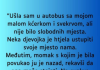 “Ušla sam u autobus sa mojom malom kćerkom i svekrvom…”