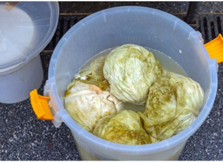 Ako se uhvati bijela skrama morate ga baciti? 3 najčešće greške zbog kojih se kiseli kupus pokvari