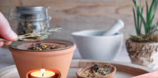 Sve više ljudi pali grančice ruzmarina u domu: Evo zašto