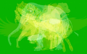 TEST: Prva životinja koju ugledate otkriva kakvu osobnost imate!