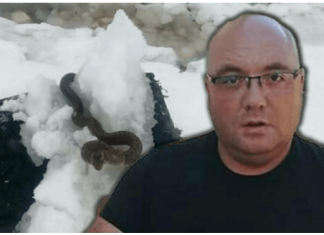 Zmije ispuzale usred zime! Vjeruje se da OVO nije dobar znak, a poznati zmijolovac upozorava – Dobro obratite pažnju na ovo!