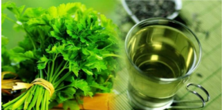 KAKO NAPRAVITI ČAJ OD PERŠUNA KOJI TOPI KILOGRAME: Pije se samo 5 dana, a rezultati su fantastični (RECEPT)