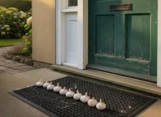 Stavio sam češnjak ispred ulaza i ovo se dogodilo preko noći!