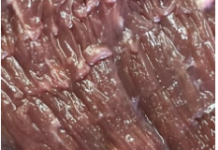 Kupila sam meso u prodavnici i u njemu našla neobičan predmet: bila sam veoma iznenađena što nešto takvo može da se nađe u proizvodu.