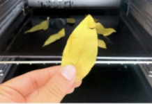 Stavite običan list LOVORA u rernu i uključite na 20 minuta: ZA OVO SVI TREBA DA ZNAJU