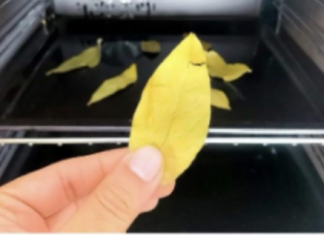 Stavite običan list LOVORA u rernu i uključite na 20 minuta: ZA OVO SVI TREBA DA ZNAJU