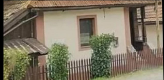 Drvo koje nikada ne treba saditi u dvorištu: Tjera sreću iz kuće i unosi negativnu energiju