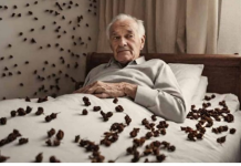 0vo je razlog zašto bi trebalo da stavite karanfilić pod jastuk: T0 su već naši dedovi znali!