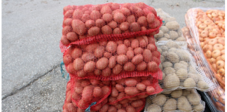 Kako prepoznati krompir pun otrova? Obratite pažnju na ovaj detalj, može vam spasiti život