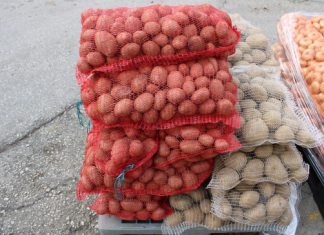 Kako prepoznati krompir pun otrova? Obratite pažnju na ovaj detalj, može vam spasiti život