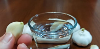 VODA OD BIJELOG LUKA PREPORAĐA TIJELO: Prirodno za UNIŠTAVANJE OTROVA U ORGANIZMU