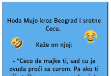 VIC: Mujo sretne Cecu