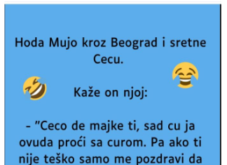 VIC: Mujo sretne Cecu