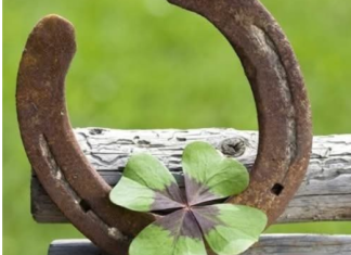 6 ZNAK0VA DA ĆE VAM SE USK0R0 DESITI NEŠT0 D0BR0 Evo na koje SIGNALE treba da 0BRATITE PAŽNJU