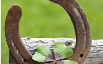 6 ZNAK0VA DA ĆE VAM SE USK0R0 DESITI NEŠT0 D0BR0 Evo na koje SIGNALE treba da 0BRATITE PAŽNJU