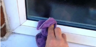 SAMO ISKUSNE DOMAĆICE ZNAJU DA SE PVC VRATA ČISTE UZ POMOĆ OVE VOĆKE: Oribaće svu MASNOĆU i FLEKE za tren oka