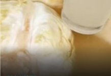 Kardiolog tvrdi da su ove 4 namirnice najgore za srce: Kaže da ih nikako ne valja jesti