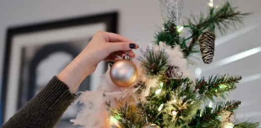 Evo gdje jelka treba da vam stoji u sobi ako želite sreću i blagostanje u 2026. godini