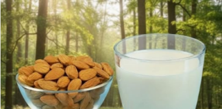 Zaboravite na apoteke: Drevni prirodni eliksir koji regeneriše kosti, čisti vid i briše astmu i nesanicu iz vašeg života – Recept koji vraća tijelo u ravnotežu!