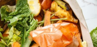 Domaćice u Srbiji ovo smatraju đubretom, a u Francuskoj je to pravo blago: Koriste ga kao glavni sastojak za supe i čorbe