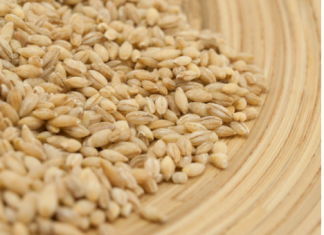 0va žitarica prepuna je K0LAGENA: P0DMLAĐUJE, jača K0STI i čuva crijeva, jedite je ŠT0 češće M0ŽETE