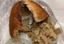 Šapčanin kupio hleb u prodavnici, a od onoga što je našao u vekni PREVRNUĆE VAM SE ŽELUDAC: Prizor nije za gadljive