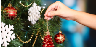 Evo kada treba OKITITI JELKU da biste privukli bogatstvo i sreću: Astrolozi su naveli tačne datume